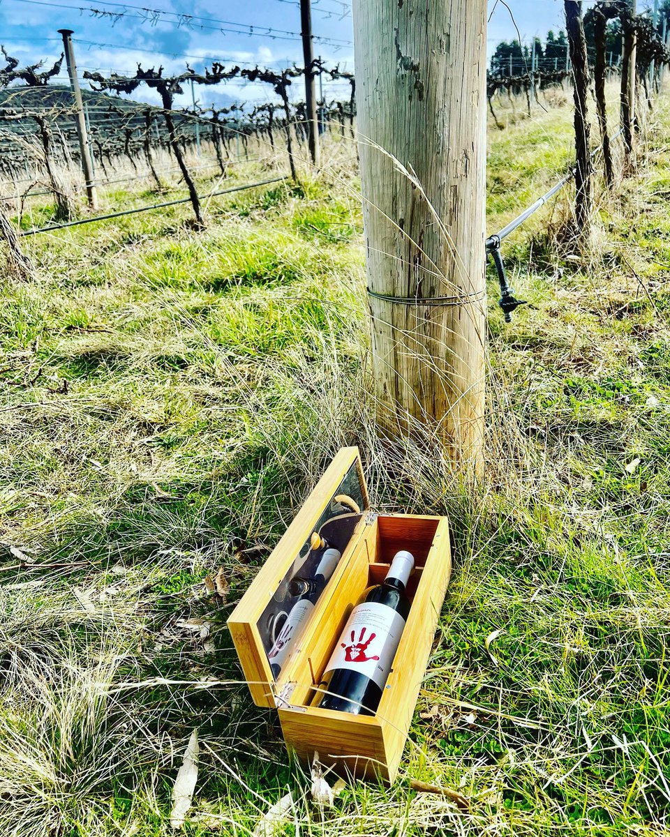 Definianos's tweet photo. Crafted from Spanish grapes and infused with select spices, Definianos is a brand worth savoring. #Definianos #SpanishWine #WineLovers #WineTasting #FineWine #WineExperience #WineCulture #WineTime #WineLife https://t.co/yc3Ad9pZhH