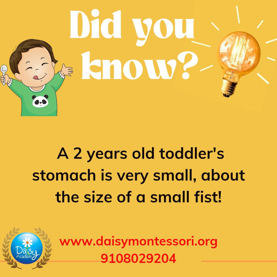Toddlers have small stomachs, about the size of their fist. They cannot eat very much at one time. This is why it is important that you give them three meals and 2-3 snacks each day
#toddlers #toddlerdevelopment #body #didyouknowfacts #intetestingfacts #amazingfacts #preschool