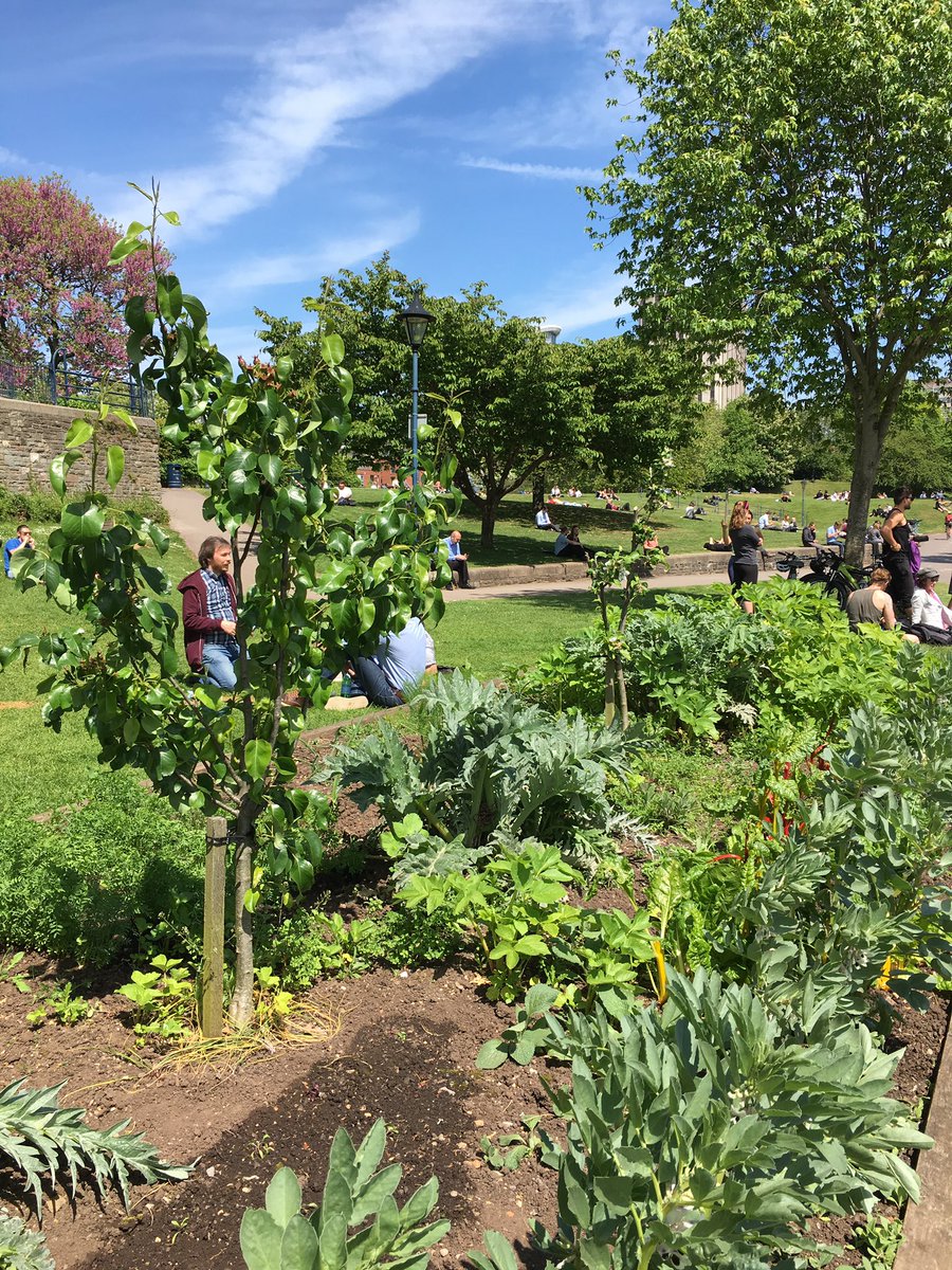 IncrEdibleBristol tweet media