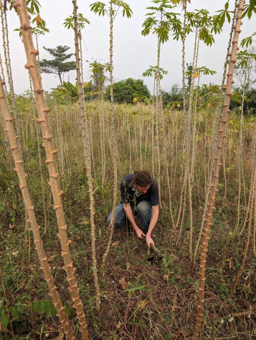 🌍🌱 VDT and Senseen collaborated with Ghana's Centre for No-Till Agriculture (centrefornotill.org) . From cover crops to soil checks, we're committed to sustainable farming! #SustainableAg #GhanaFarms 🌾🌿