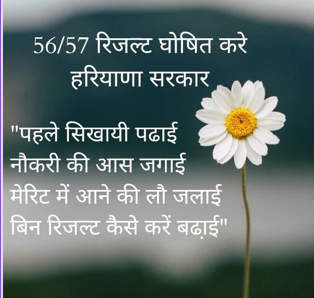 Sachinboora07's tweet photo. Group d  का जुमला नही चाहिए। हमे तो नोकरी सिर्फ और सिर्फ अपने ही ग्रुप 56 57 में चाइए 
#HSSC_KAHA_HAI_29000 
@cmohry @AmitShah @TheLallantop @HARYANATAK @HSSCorg_in @BJP4India @Dchautala @DeependerSHooda @narendramodi @mlkhattar https://t.co/yckx0dntiR