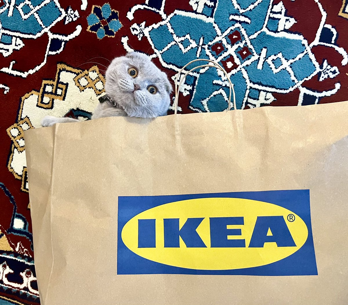 İkea’nın yeni reklam yüzü