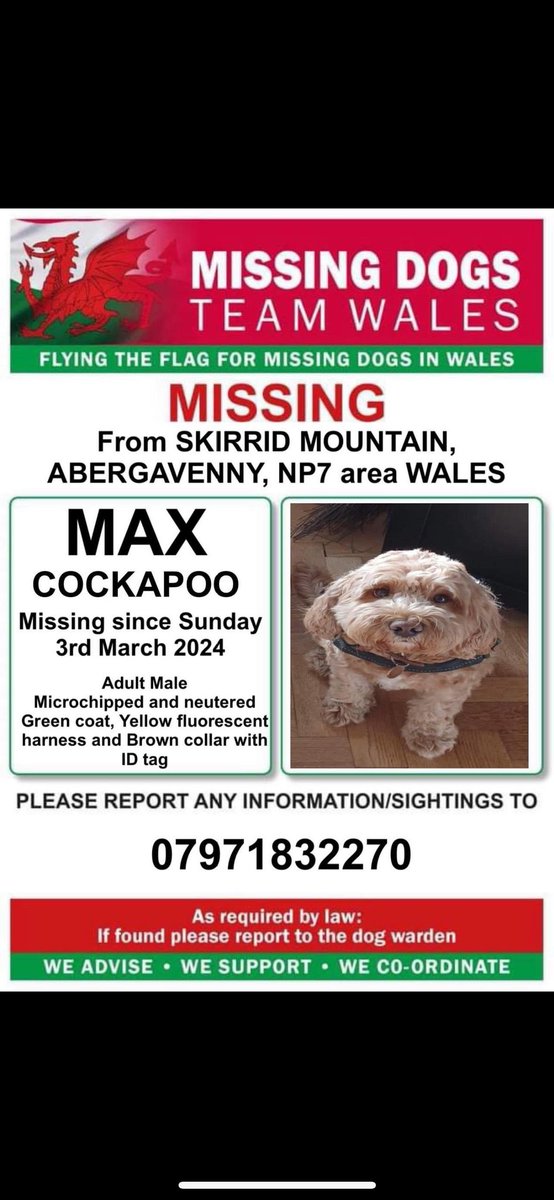 Nevill St Biz Abergavenny tweet media