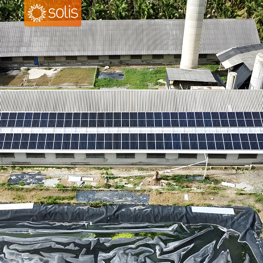 Solis_Inverters's tweet photo. #SolisCases in #Thailand: Boost your farm with Solis! Explore case studies featuring S5-GC600K and Solis-110K-5G inverters for projects from 50kWp to 400kWp. With #SolisCloud, farmers monitor in real-time, cutting downtime and costs. Choose #reliability, choose Solis! https://t.co/nl9iDKlOdl