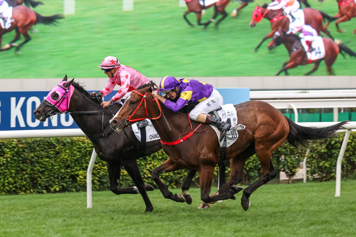 Helios Express prevails in gripping Hong Kong Classic Cup battle. #4YOSeries #HKracing @LeoSchlink writes. Read here 👉 racingnews.hkjc.com/english/2024/0…