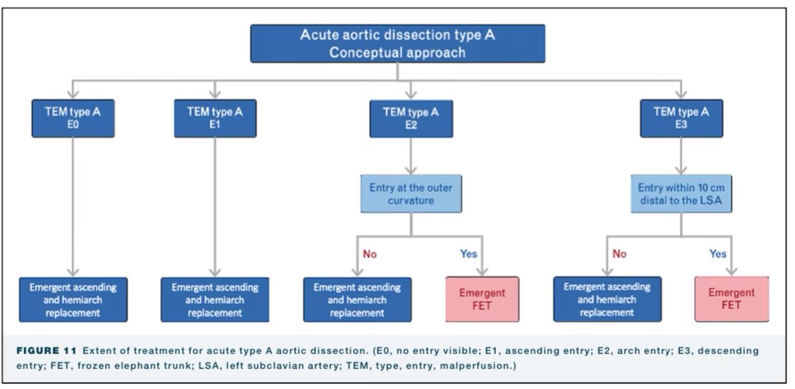SeguraCardio's tweet photo. 📌@EACTS /STS #Guidelines for Diagnosing &amp; Treating Acute &amp; Chronic Syndromes of the Aortic Organ

#Aorta https://t.co/VumXjrPWld