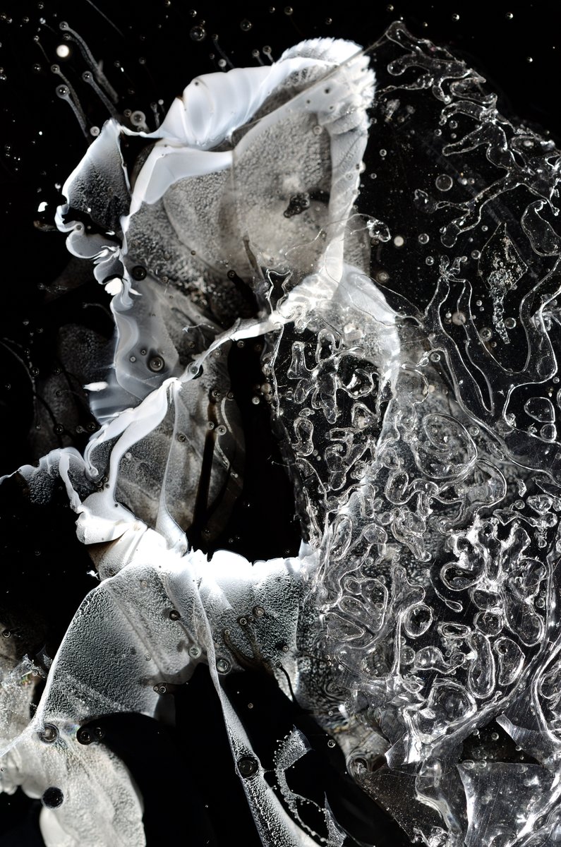 Giorgio Chiarvesio tweet media