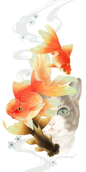 「goldfish simple background」 illustration images(Latest)