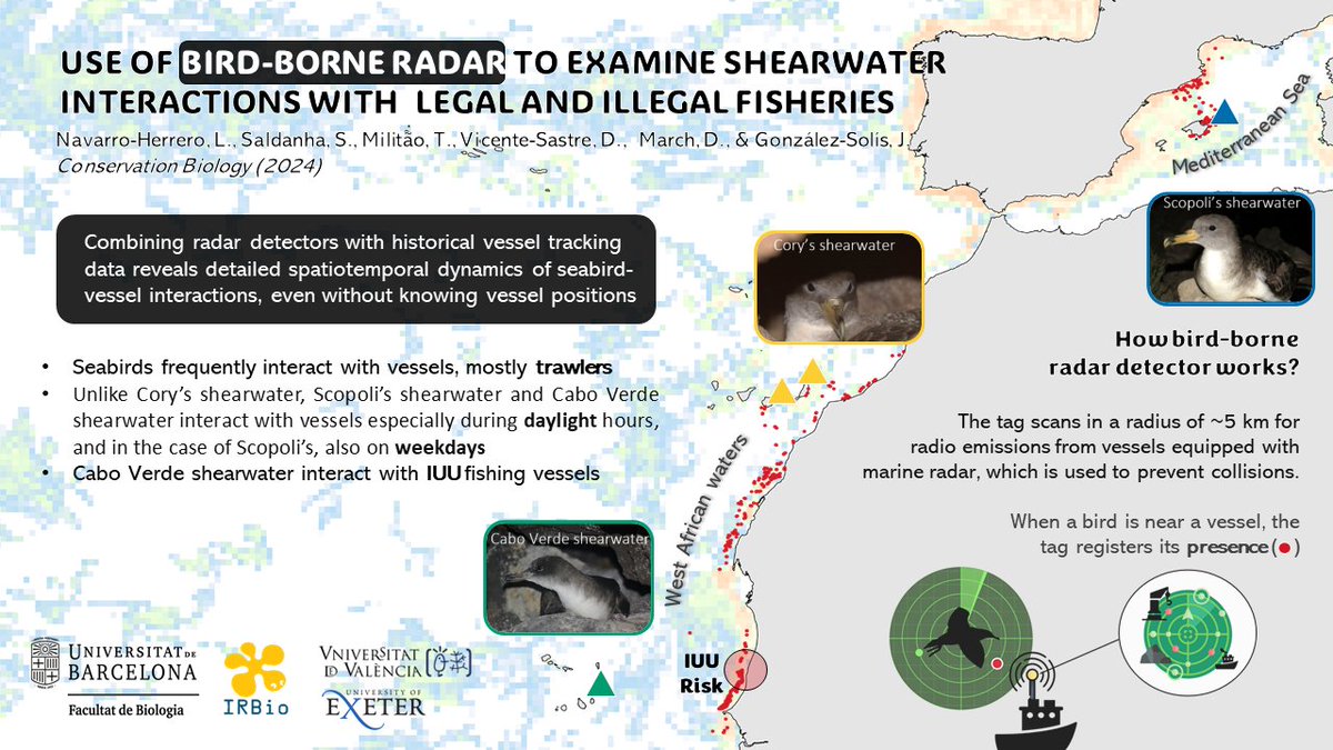 📢Our latest paper is out! Check on doi.org/10.1111/cobi.1… We used radar tags and gridded vessel tracking to observe seabird-fishing interactions, avoiding the challenges of gathering complete vessel trajectories, which may contain gaps, such as hidden fishing activity