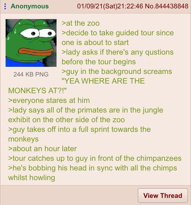WholesomeMemes (@wholesomememe) on Twitter photo 