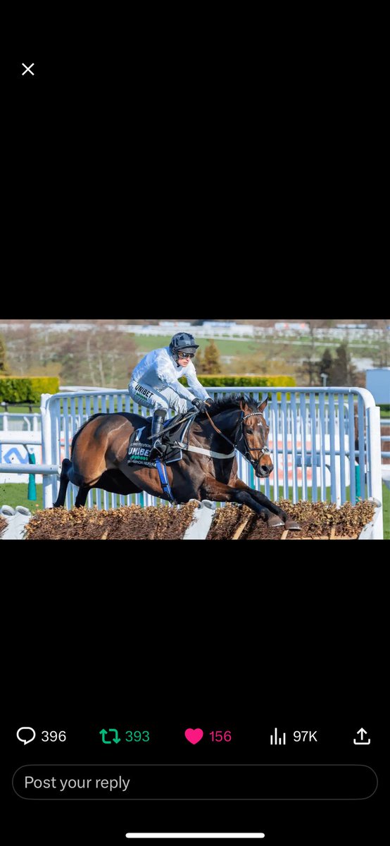 enright181's tweet photo. @RacingTV @UnibetRacing https://t.co/WeBJoaPtOM