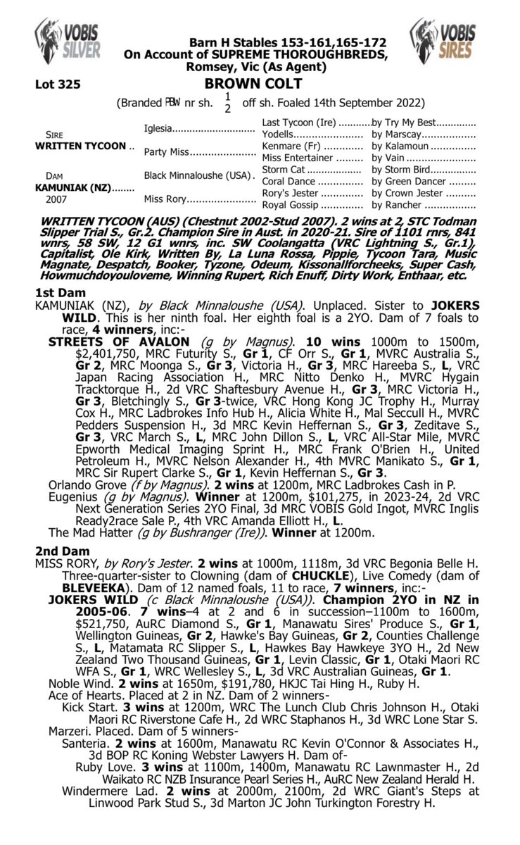 The Written Tycoon half-brother to our $2.4m earner and twice Group 1 winner Streets Of Avalon is coming back to Mornington. Presented beautifully by <a href="/supremethbds/">SupremeThoroughbreds</a>, he was secured for $350k.

Opps available

📧 shane@shanenicholsracing.com.au