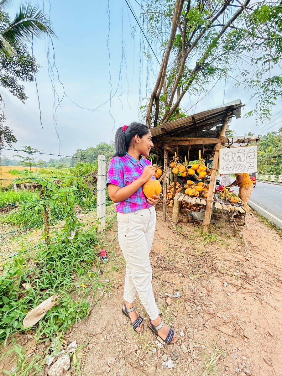 බොමු ද සීතල තැඹිලි ගෙඩියක් 😌?