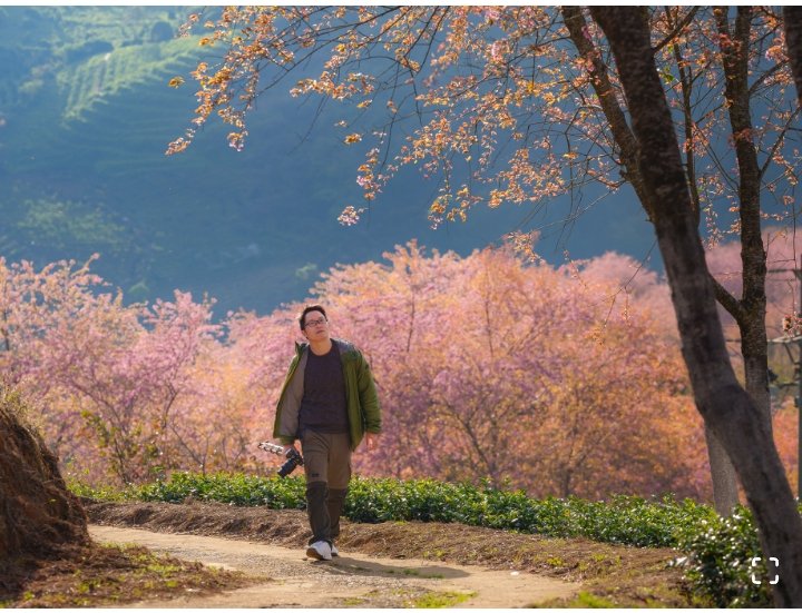 TheEarch321's tweet photo. #MaiAnhDao #RuRo #SaPa
Mai anh đào bung nở rực rỡ ở Sa Pa
https://t.co/fBrYqCB57B https://t.co/TBUrhWnAK0