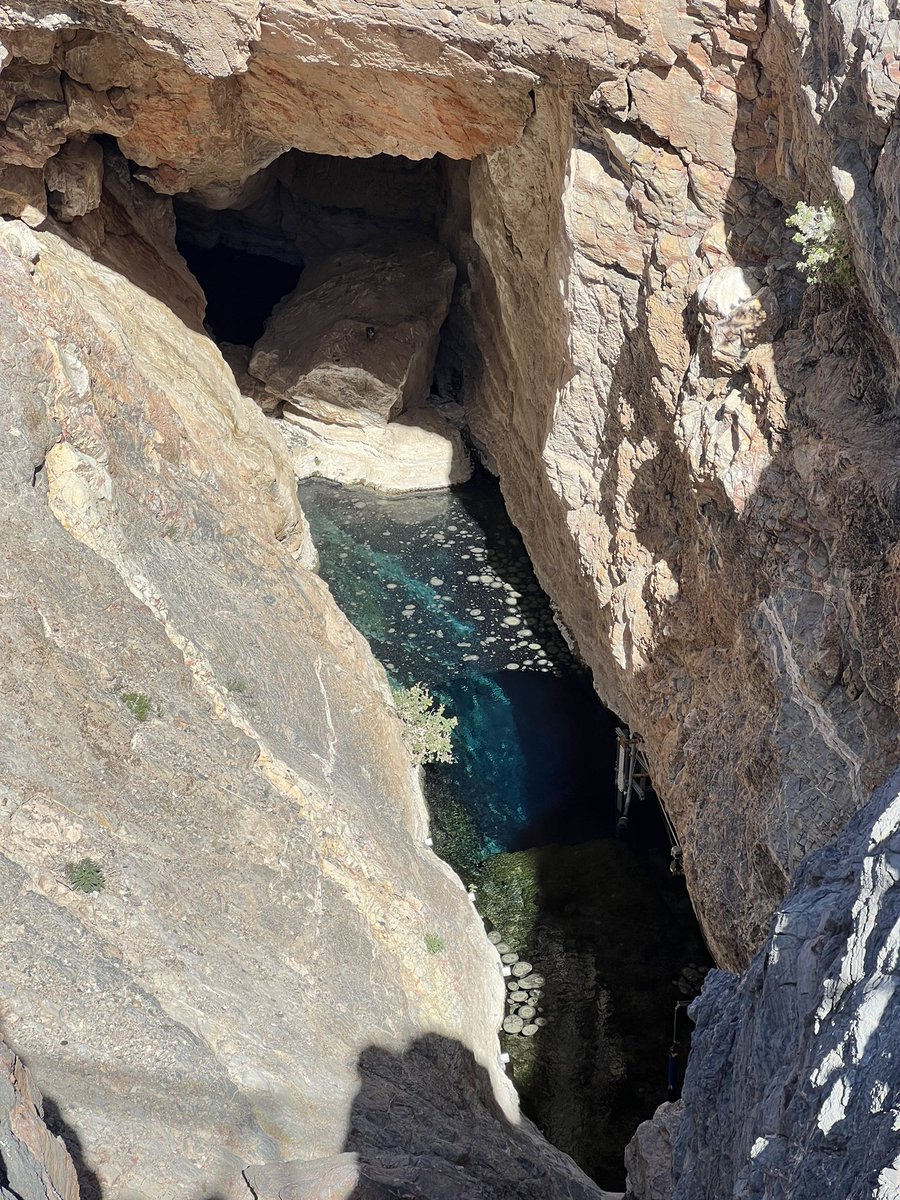 Andrew Dunning tweet media