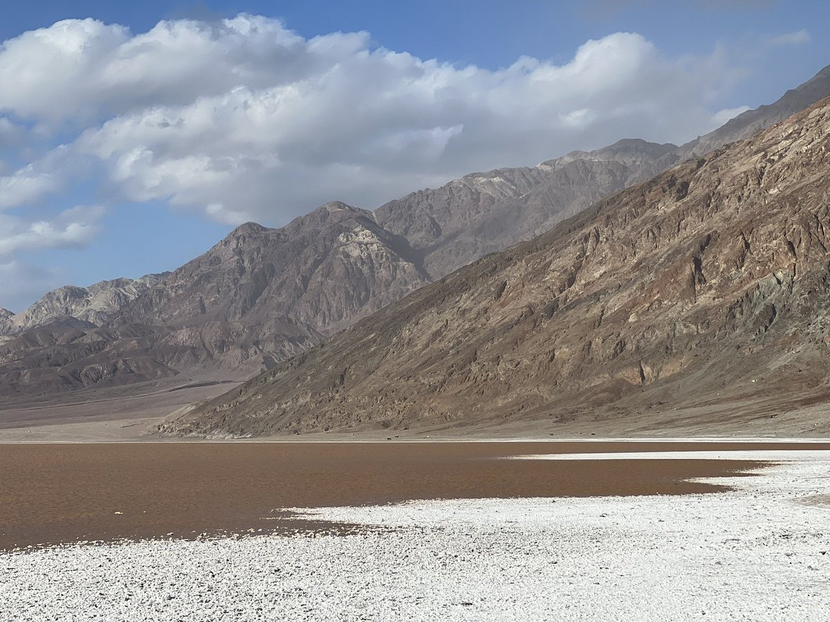 Andrew Dunning tweet media