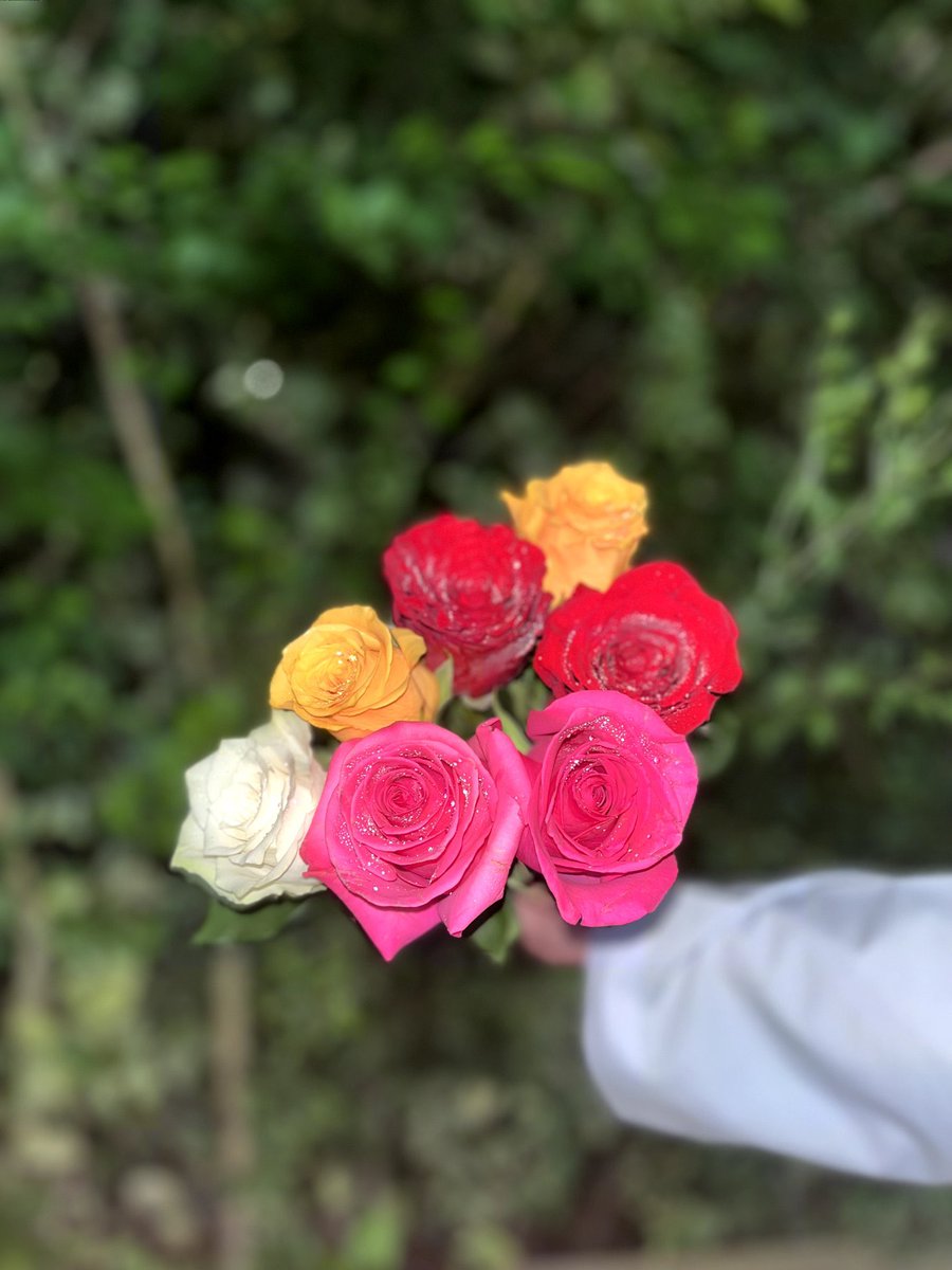 و جَمالك يَشبه جَمال الوَرد وأكثَر...💙🕊️
#صباح_الخير_والسعاده 
#اخدود_الريان