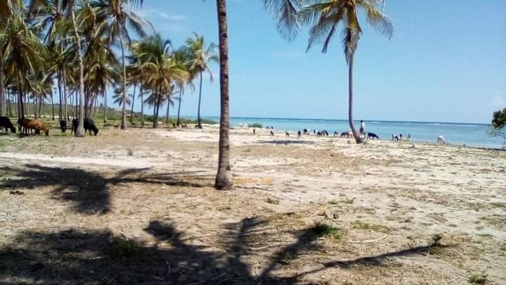 20 Acres Land Kikambala Beach With Approx. 500m Ocean Frontage

Sale as a whole parcel or in blocks of 5 acres and 15 acres — Price on Application