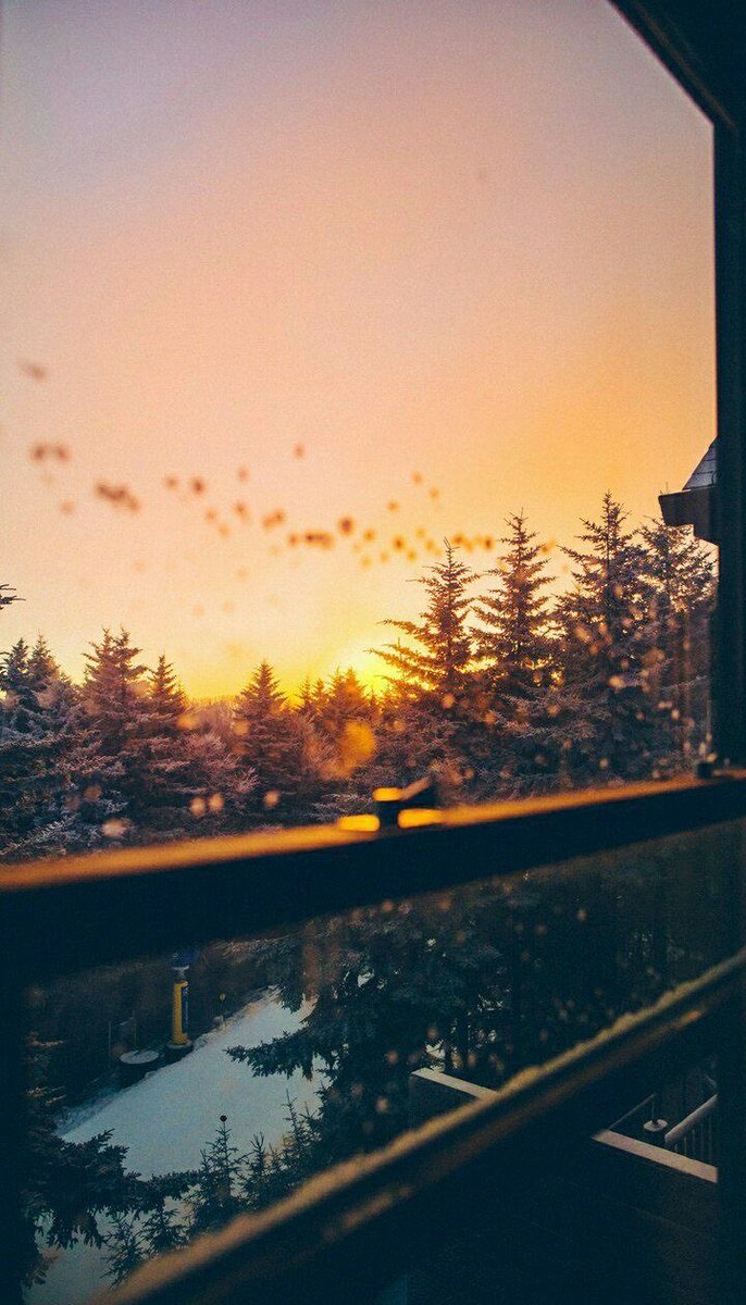 لاتحمِلوا خيبات الأمس 
واجعلوا الصباح  ☀️
مناراً لِأرواحكُم المُحلقه  🧡

 صباح الخير