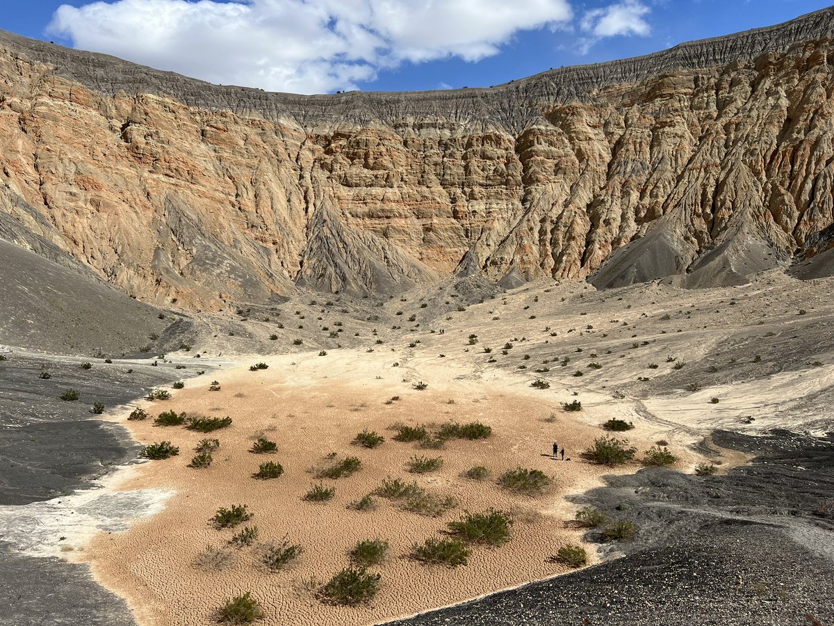 Andrew Dunning tweet media