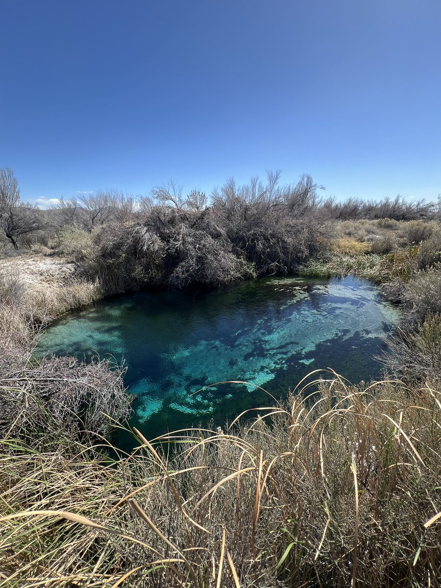 Andrew Dunning tweet media