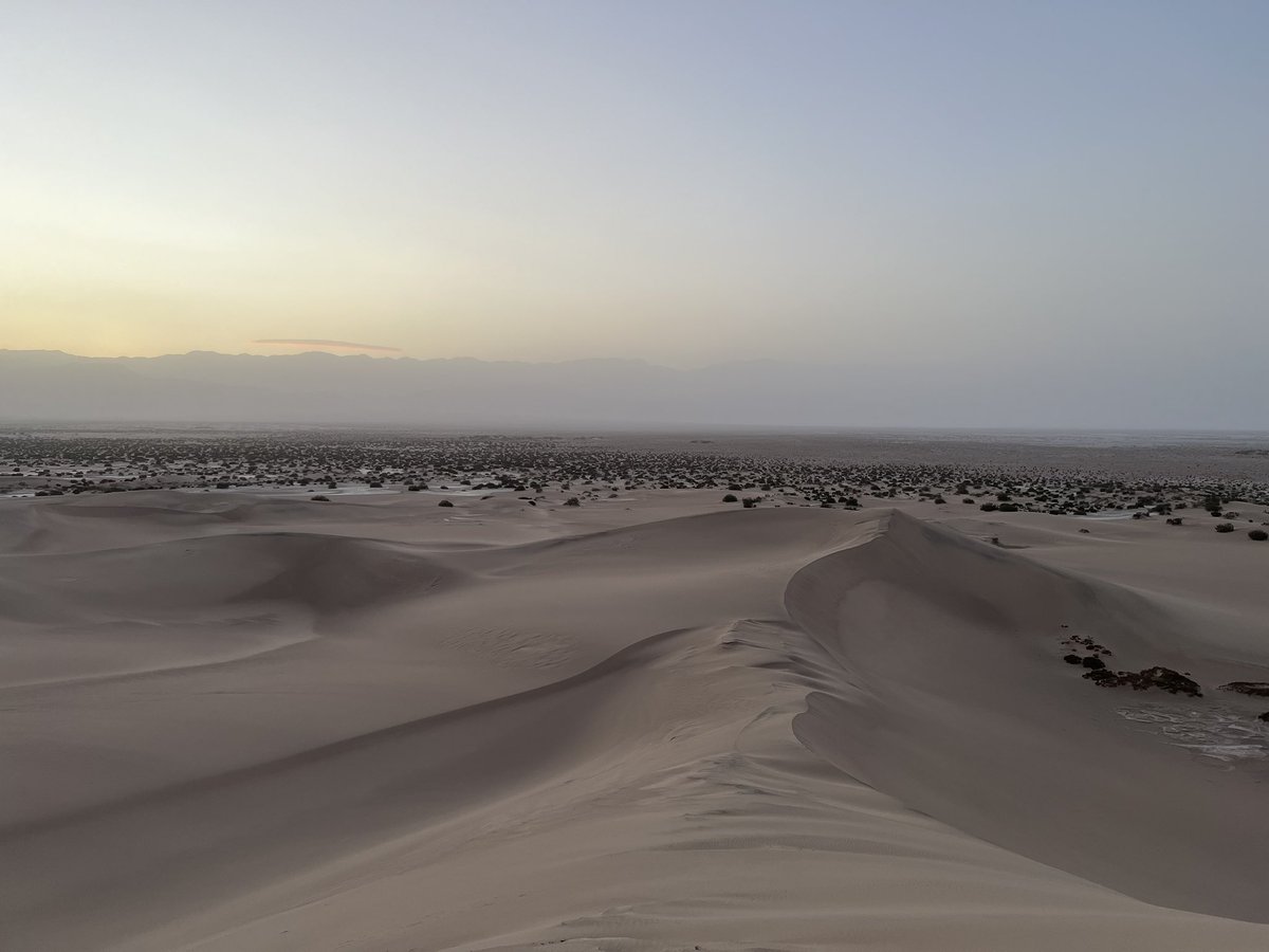 Andrew Dunning tweet media