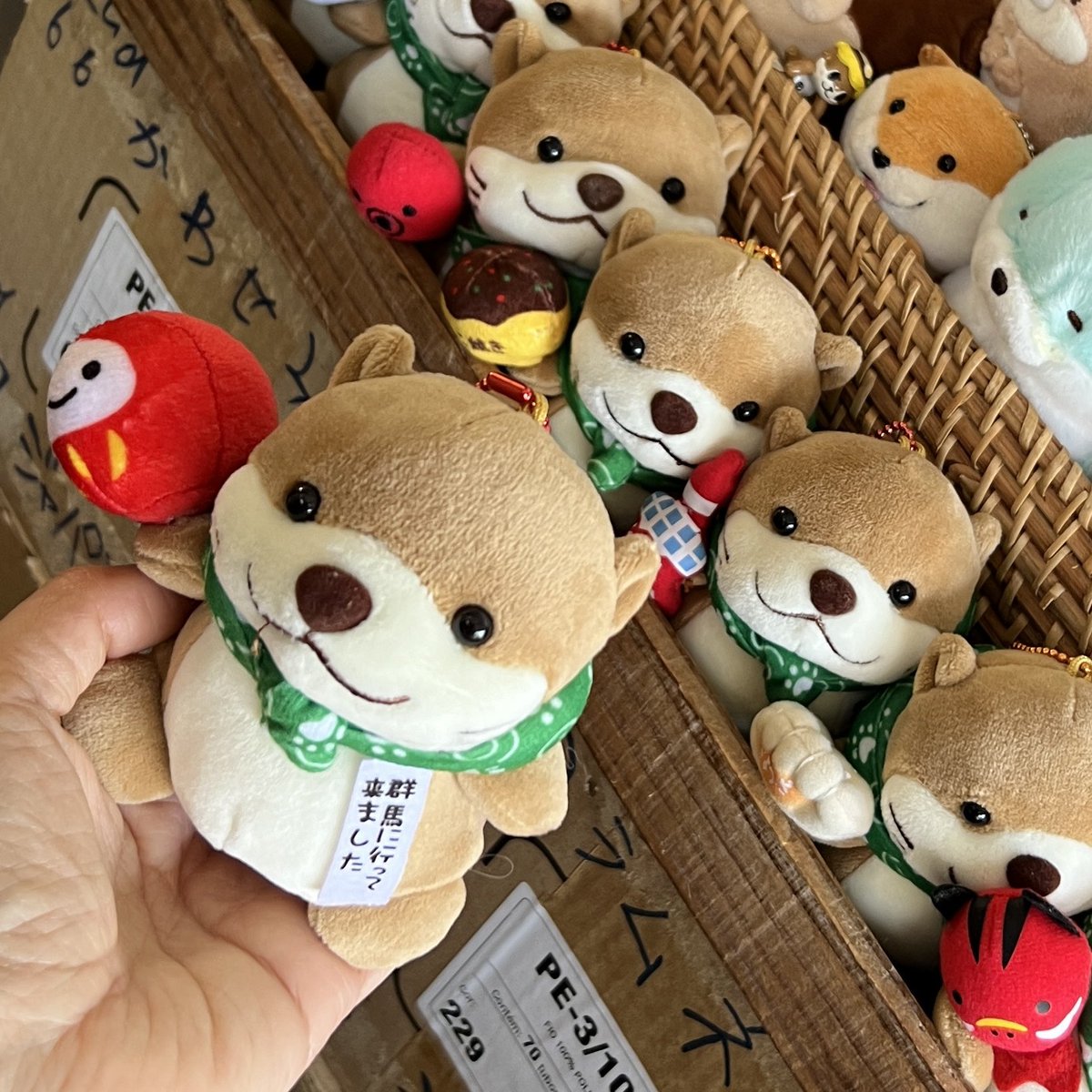 げっとぉぉーーーしてもろたー！！ あるお客様がダルマの子見つけて