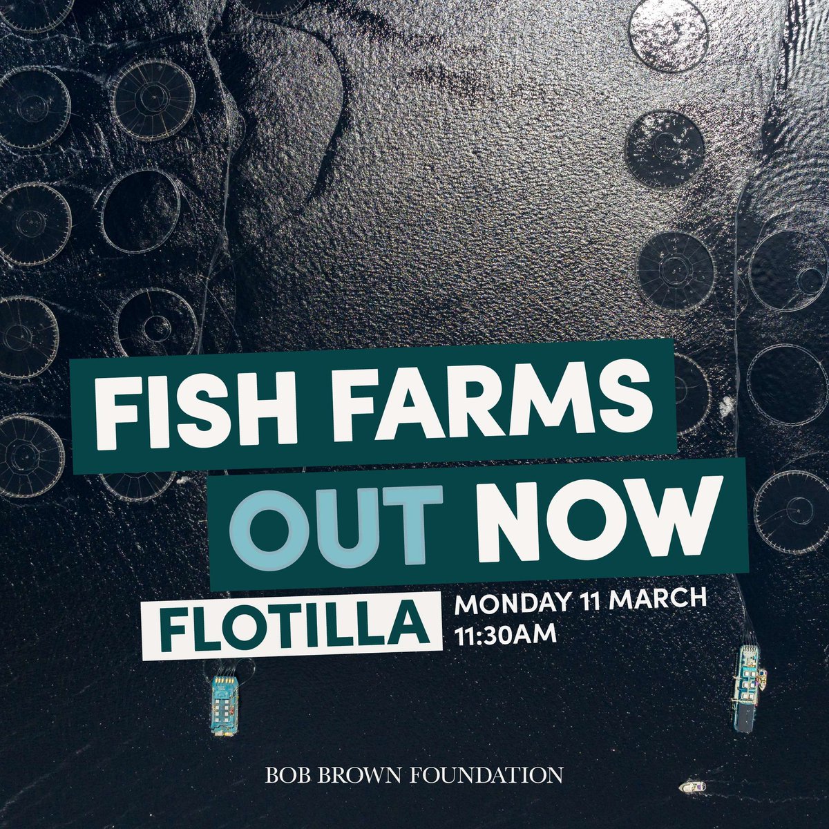 BobBrownFndn's tweet image. One week to go! Ahead of the state election, hit the water in nipaluna / Hobart with your kayak, boat or surfboard as part of our #FishFarmsOutNow flotilla and help us send a clear message that fish farms have to go 🏄🏽 - bobbrown.org.au/event/fishfarm…

#Politas #ToxicSalmon