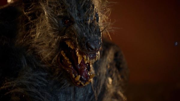 Review - The Beast Comes at Midnight (2023)

A family friendly werewolf film that shouldn't bore parents who watch along with the kids.

voicesfromthebalcony.com/2024/03/03/the…