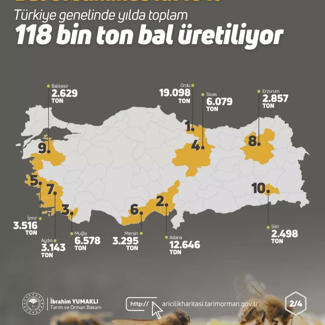 kaplanbees's tweet photo. #Turkiye #HoneyWorks #WAX #bees 

#crypto #MakeItCount https://t.co/Cku6AzwOzw