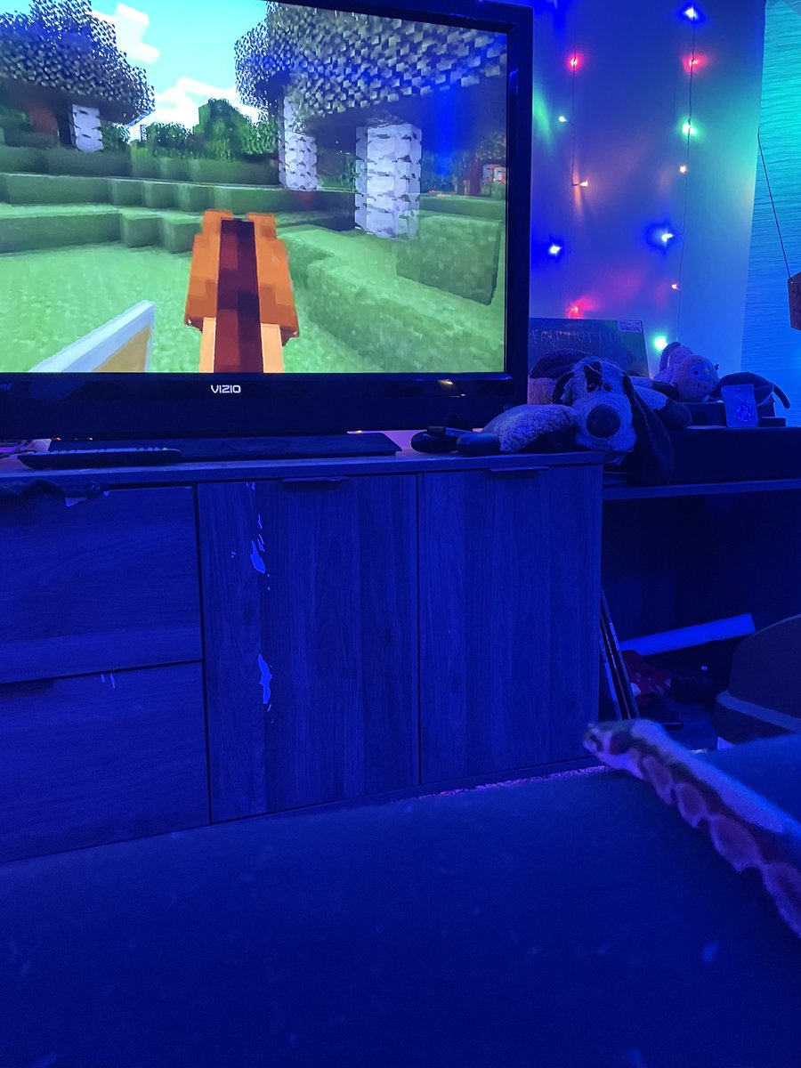 technotempest's tweet photo. @ForgeLabs you are my snake’s favorite YouTuber, he only wants to come out of his hide when we have you playing 🐍♥️  #forgelabs https://t.co/qKotuBbjI8