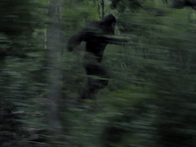 kyalbr's tweet photo. I don’t understand how I missed this?

In 2014, the co-director of The Blair Witch Project directed a feature film. 

It’s a found footage horror movie about Big Foot and it’s called Exists (2014). 

I just watched it and it is one of the best horror movies I have ever seen. https://t.co/7U7MmOOYSr