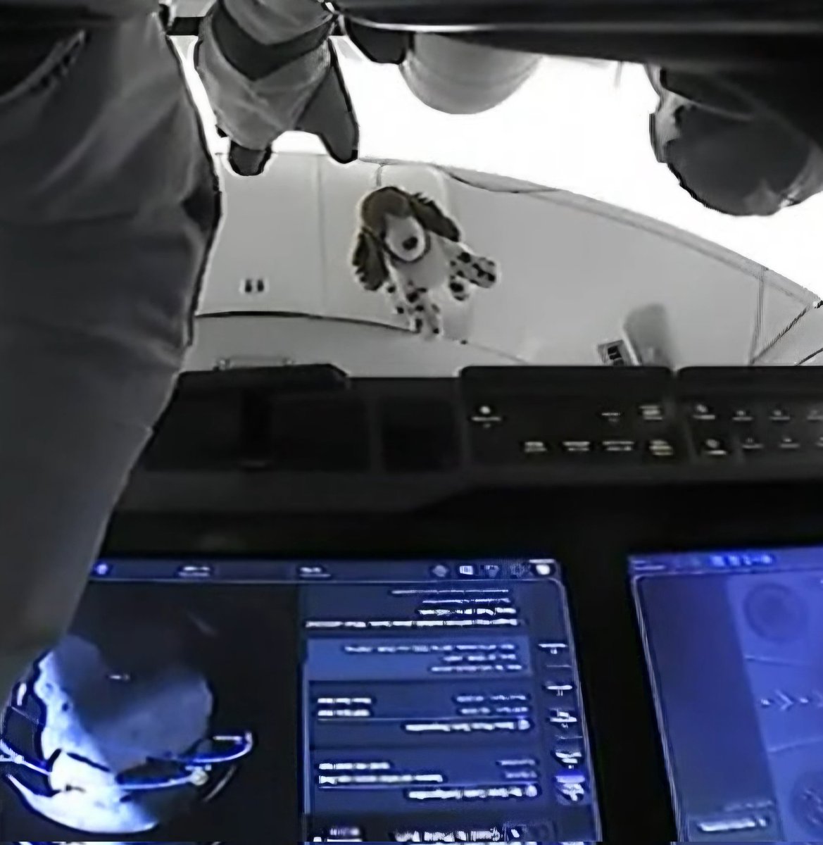 Let's go! #DOGE in space? Thanks, <a href="/SpaceX/">SpaceX</a> <a href="/elonmusk/">Elon Musk</a> #NASA