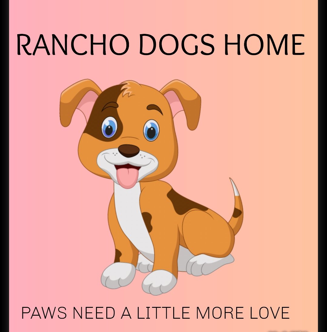 RanchoHome's tweet photo. @RonRicci9 We wish you a happy birthday our dear more love and blessings https://t.co/ACSHhTI2ba