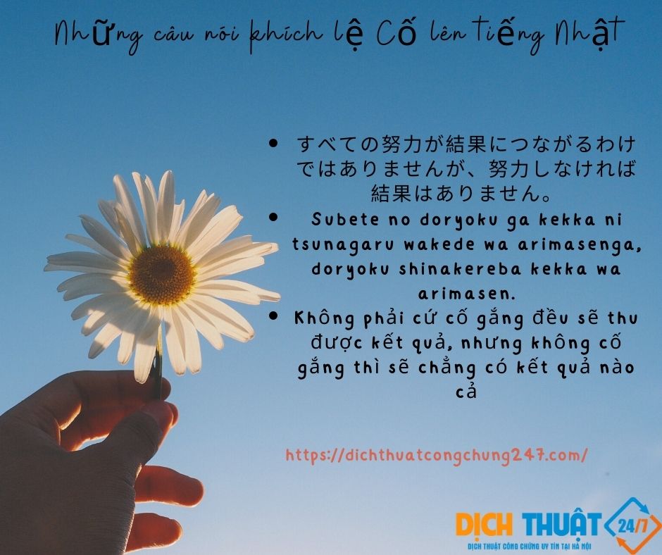 Những câu nói cố gắng lên tiếng Nhật
Bài viết dưới đây Dịch thuật 247 sẽ thông tin cho các bạn về những câu nói Cố gắng lên tiếng Nhật. Mời các bạn cùng đón đọc.
dichthuatcongchung247.com/hon-200-mau-no… … #colentiengnhat 
#caunoikhichle