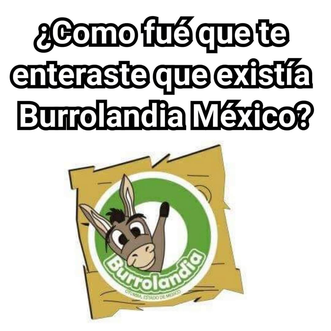 Burrolandia_mx's tweet photo. PREGUNTAS DE LA MANADA 🤭🔎❓
Gracias por ser parte de este proyecto 😊🤗

#unetealproyectoderescatedelburritomexicano 
Burrolandia México, #Aquenoteaburres!!! https://t.co/MxBjPXwBqY