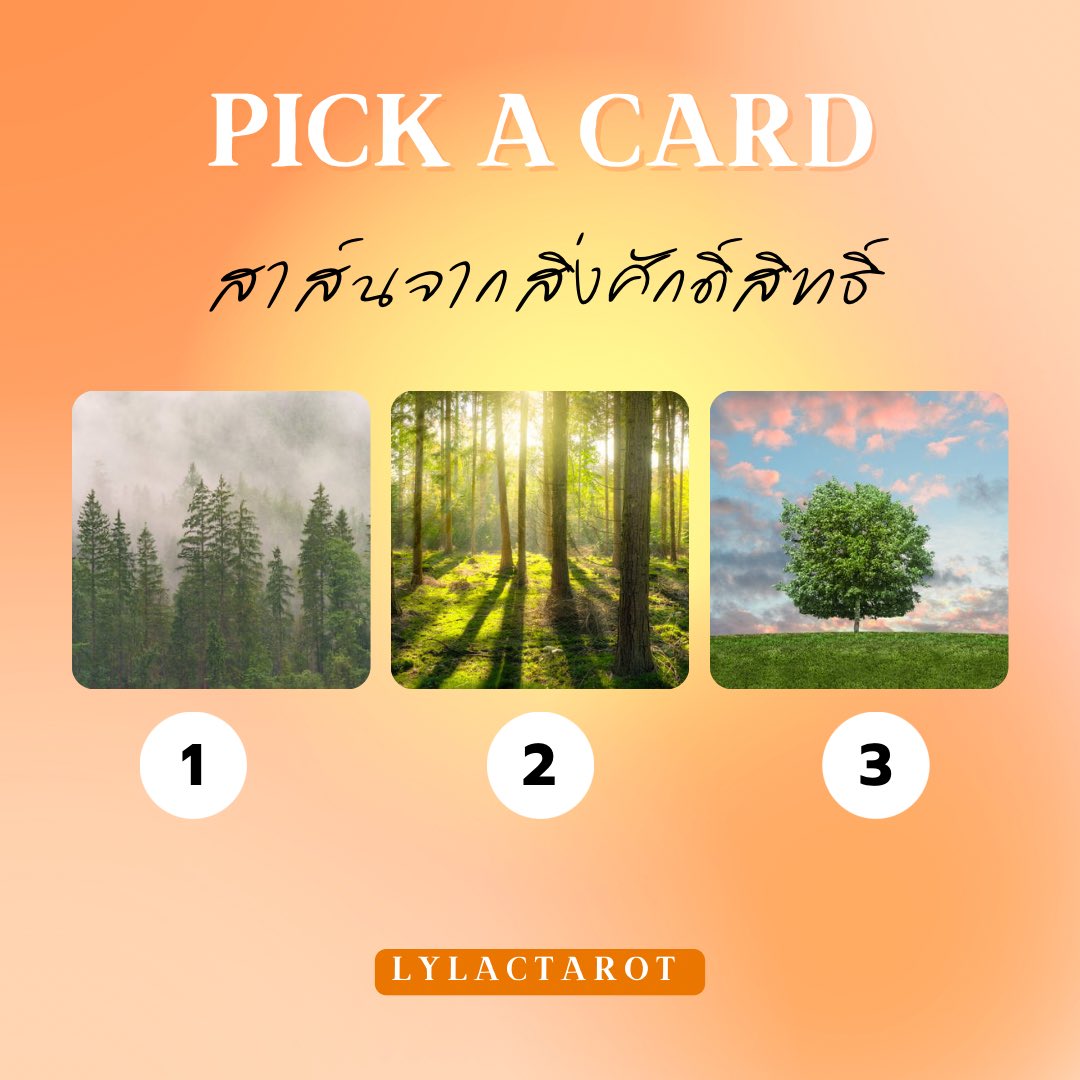 𝐋𝐲𝐥𝐚𝐜𝐭𝐚𝐫𝐨𝐭✨ เปิดรับคิวดูดวง tweet media