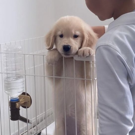 takemybear's tweet photo. ขอออกไปสื้อชาเย็นได้มั้ย จะขาดใจแระอ่า ･᷄-･᷅ https://t.co/rlB2He53CQ