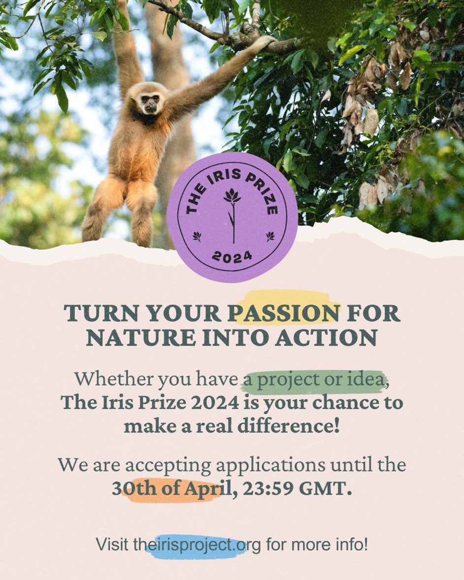 The @TheIris_Project is about celebrating supporting young people who are driving #climateaction to protect and restore nature 🍃. Across Africa there are too many to name! Young entrepreneurs & changemakers - applications for #TheIrisPrize2024 are open: theirisproject.org