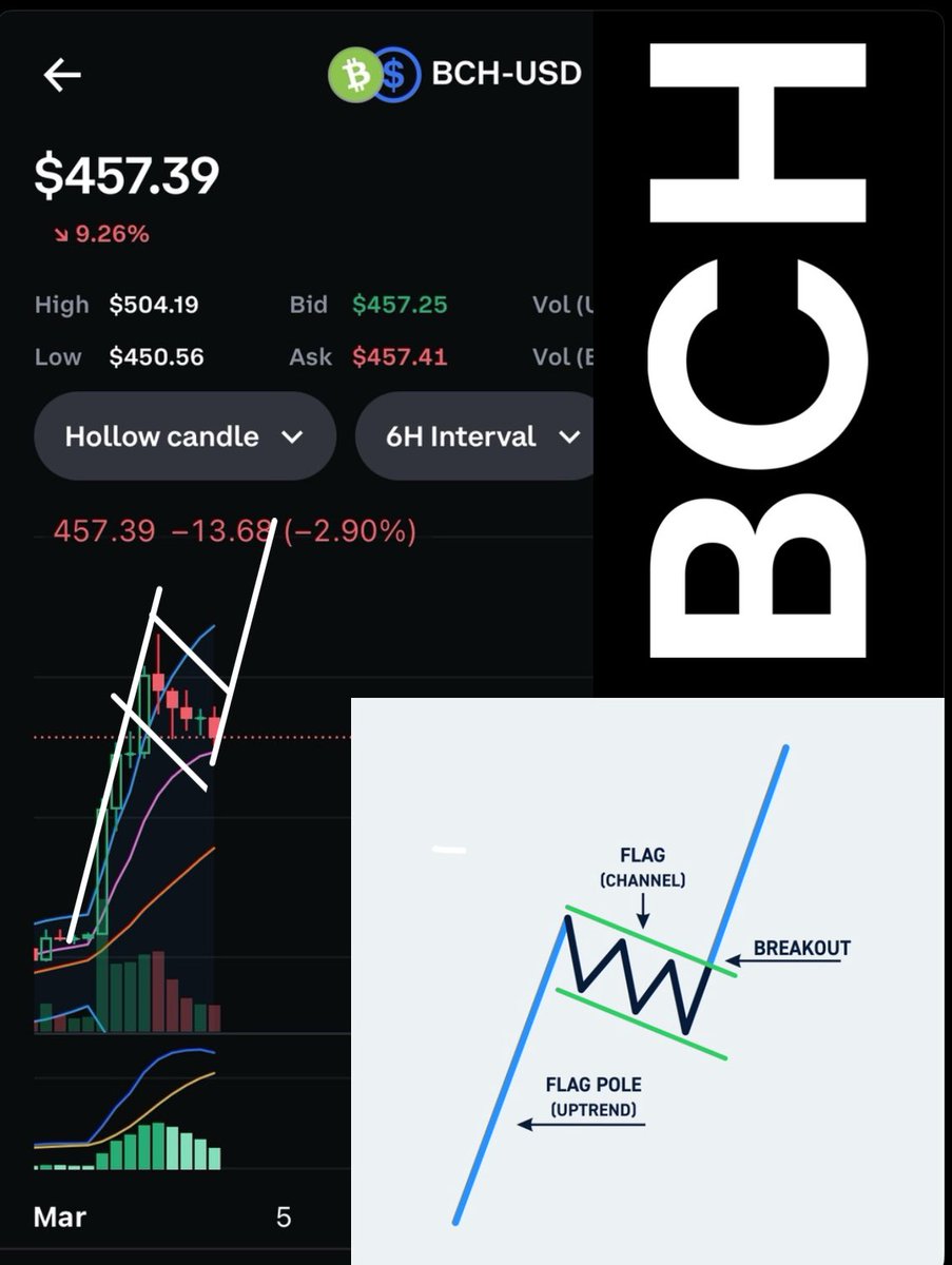 shyneblock's tweet photo. $BCH #Bitcoincash bullflag 🟢🟢🟢 https://t.co/NeETct5Cwa