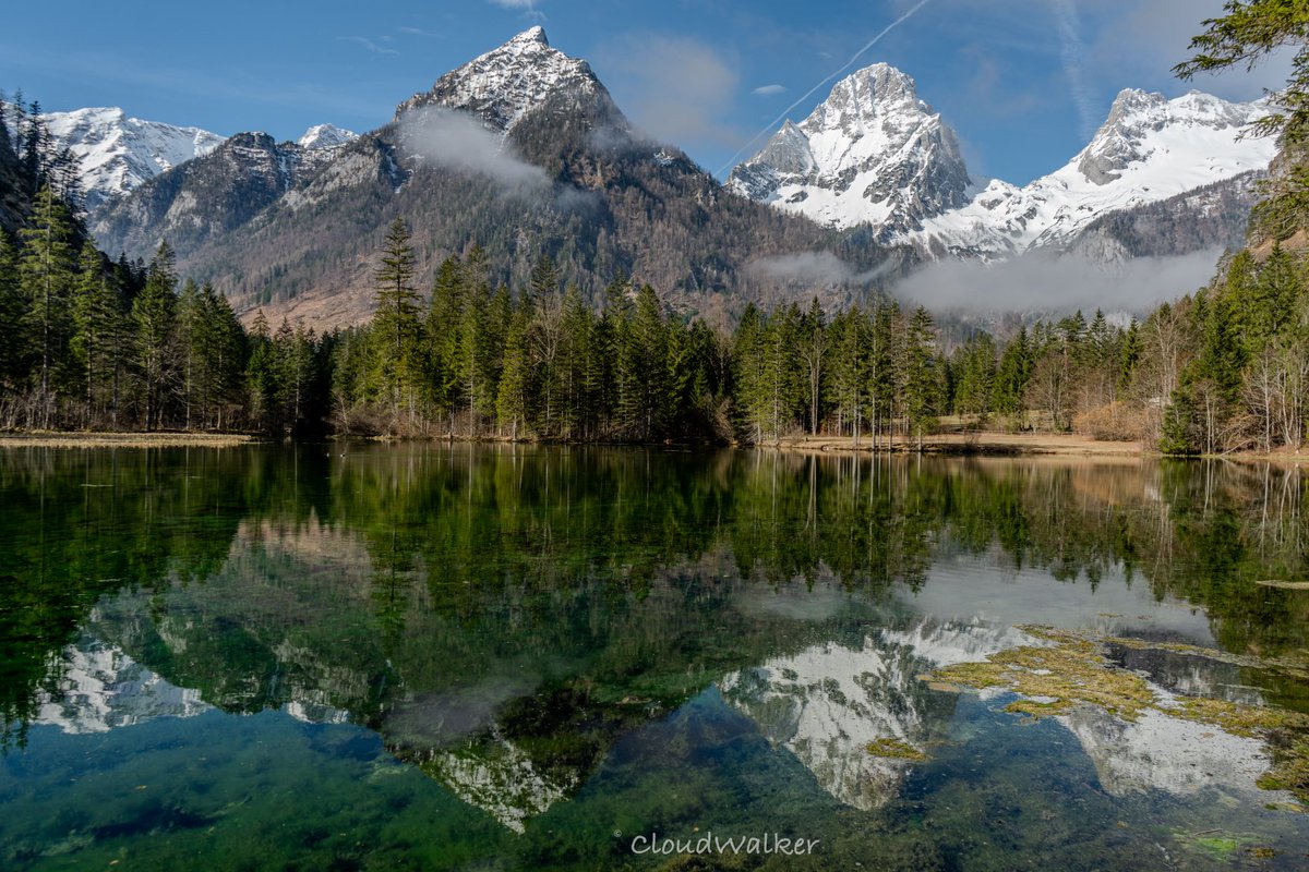 walkercloud13's tweet photo. Hello everyone 🤗 Schiderweiher 💚 #landscape #naturephotography #forest #green #Hinterstoder #Schiederweiher #Wurzeralm #Oberösterreich #Austria #SonyAlpha 💚 https://t.co/CL1NtDEwjv