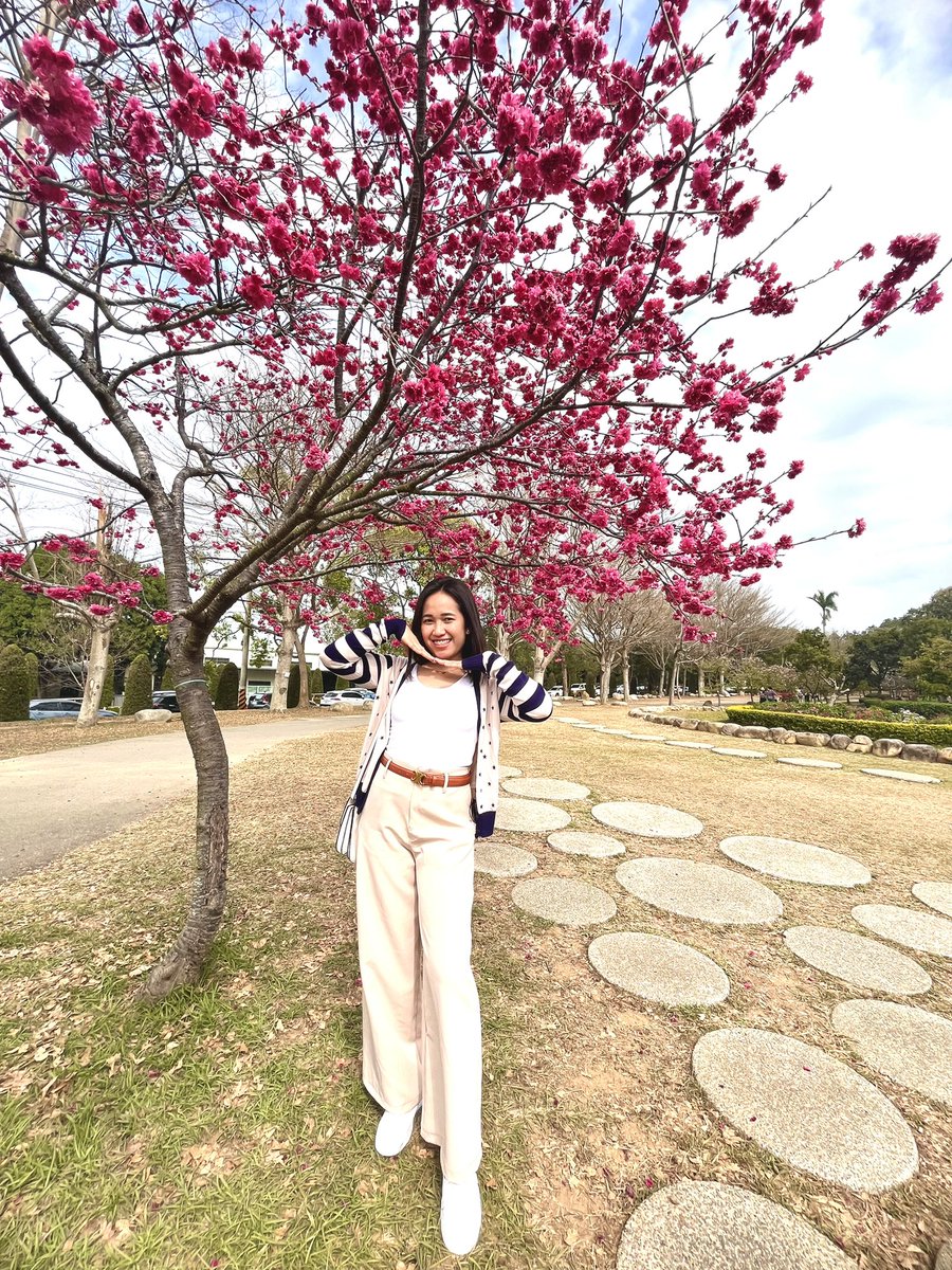 whenanana12's tweet photo. Taichung City Taiwan 🌸 https://t.co/wYBUfBcIrC