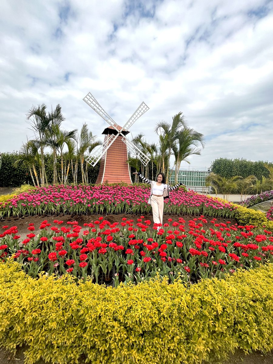 whenanana12's tweet photo. Taichung City Taiwan 🌸 https://t.co/wYBUfBcIrC