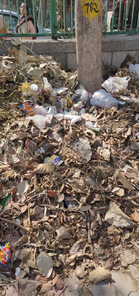 DeepaliPunyani's tweet photo. @JarnailSinghAAP it's been almost 15 days, these dead plants and garbage has not been picked up from Tilak Nagar 7 Block park. #deadplants #dirtypark #mcd #sdmc https://t.co/6eGZfKFGDo