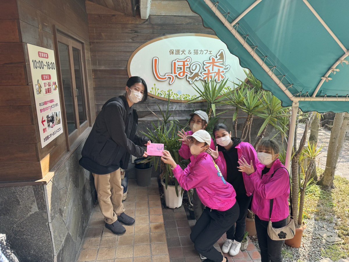 DomeFamily's tweet photo. こんにちは！Familyドームです😋

今日の活動報告✨

#姫路 #ボランティア #Familyドーム
#姫路キャンフェル #譲渡会
#保護猫 #保護犬 https://t.co/NRIpsJEImN