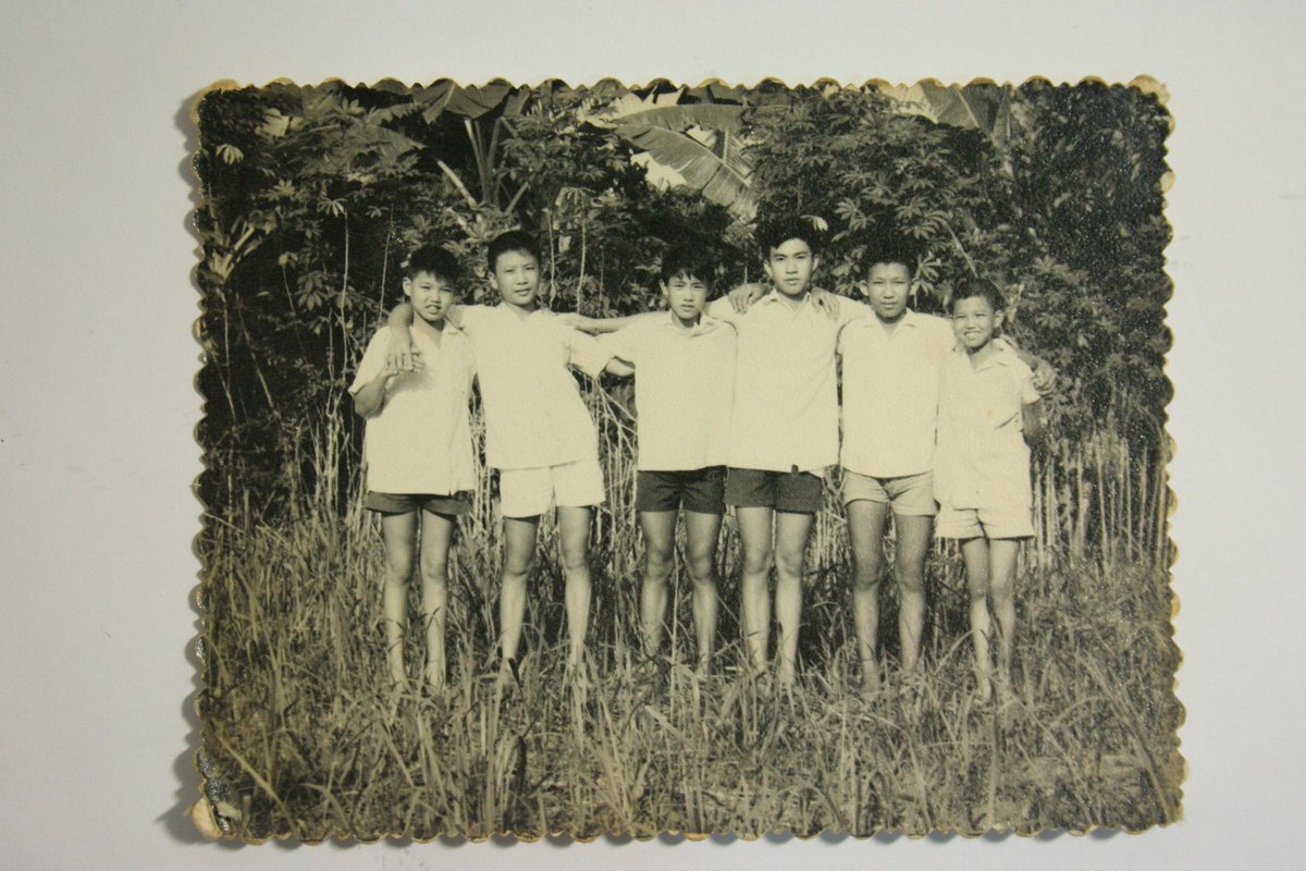 黃奕信🇬🇧 tweet media