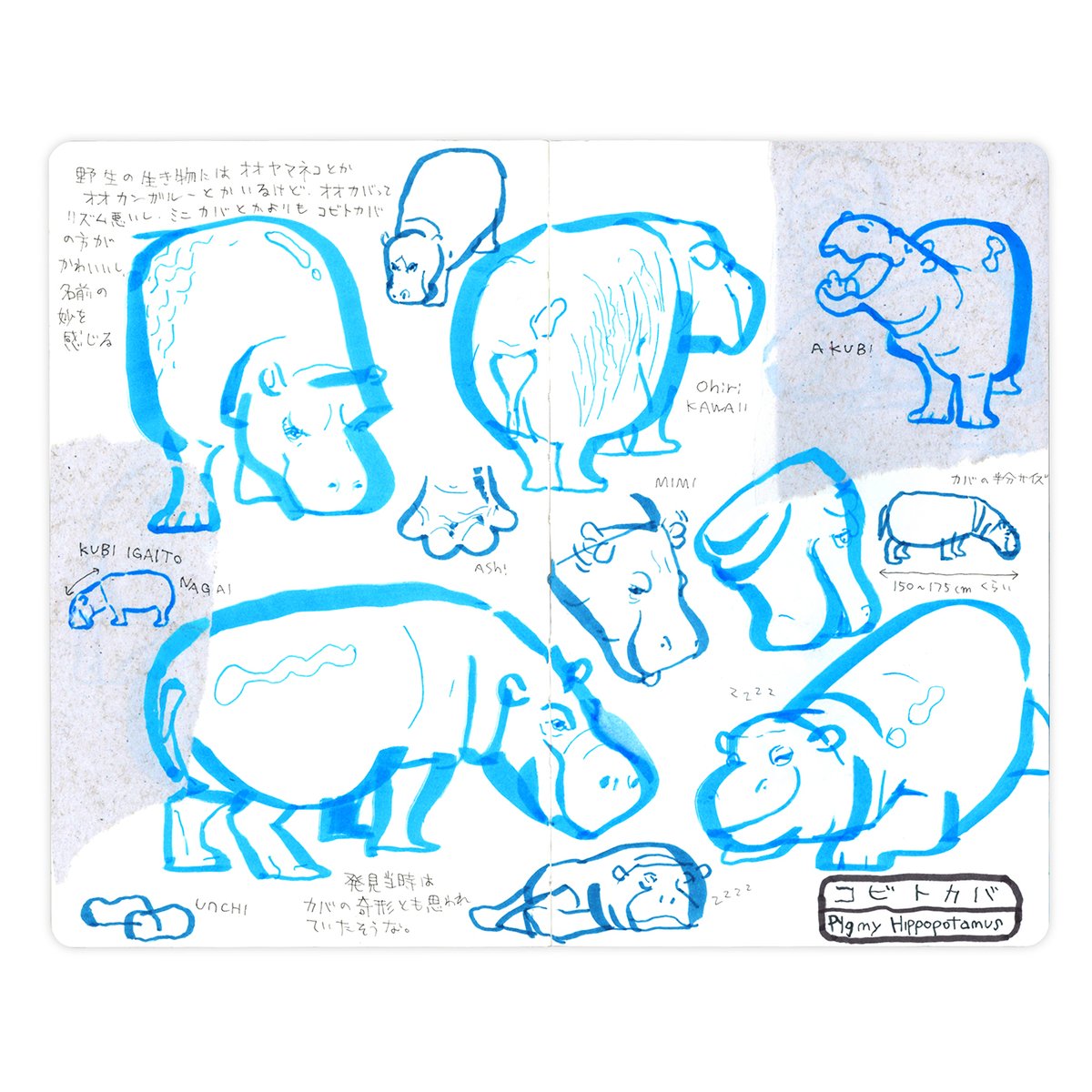 名古屋 東山動物園 