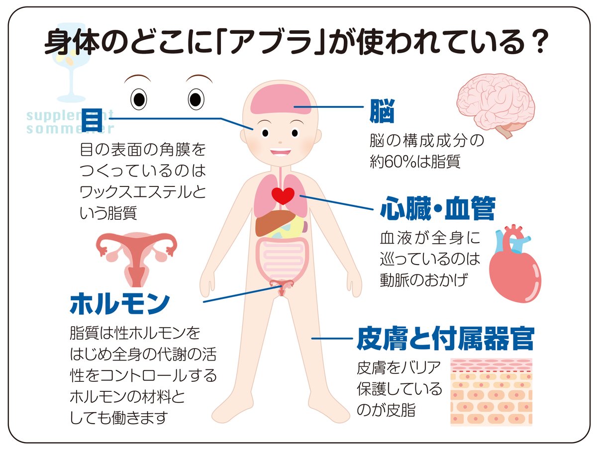 supplemiya's tweet photo. 【あなたが食べた油はあなたの体を作る】  

あなたが食べた油は、時間をかけて  
・脳 
・目 
・血液＆血管 
・ホルモン 
・お肌 
・髪  

など、全身の細胞やその細胞膜の材料になります。

そして、食べた油の質で心や身体の質が変わります。

日本人の食生活は
1960年代と2010年代を比較すると
摂取カロリーはあまり変わってないのに
その内訳は米が減って畜産物や油脂類が大きく増えていて。

それらに含まれる油の割合が大きくなっています。

つまり昔以上に、良くも悪くも油の体内での影響が大きくなっています。

食べている、使っている油の質を考えてみませんか？？