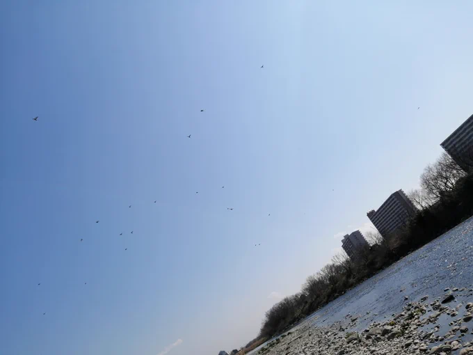 お疲れ様です。気分転換。全てに鳥がいるのですがwww分かるかな。鶯、水鳥、烏、?鳥深夜まで仕事してたから春の陽射しが目に刺さります。 