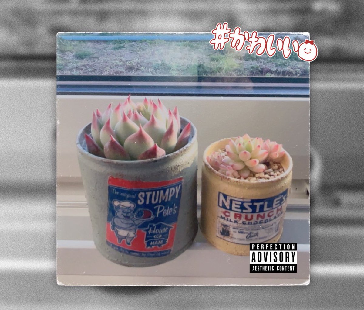 キャラメルの妖精